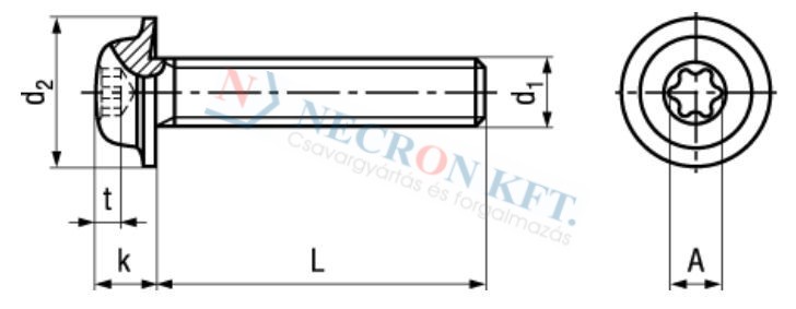 Domborúfejű csavar Torx kulcsnyílással ECO-FIX (NCN10649-A2-0080)