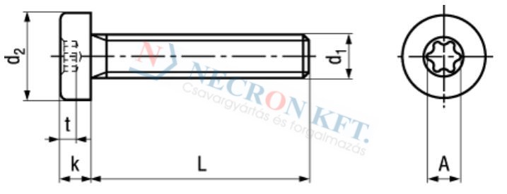 Hengeresfejű csavar TORX kulcsnyílással (NCN4850-ZN0-0160)