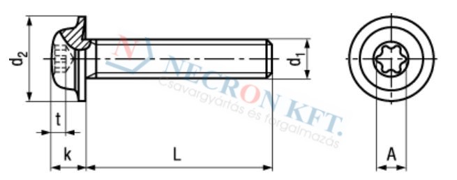 Domborúfejű csavar TORX kulcsnyílással ECO-FIX (NCN5128-ZN0-0115)